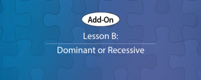 Add-On Lesson B Cover