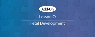 Add-On Lesson C Cover
