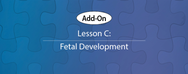Add-On Lesson C Cover