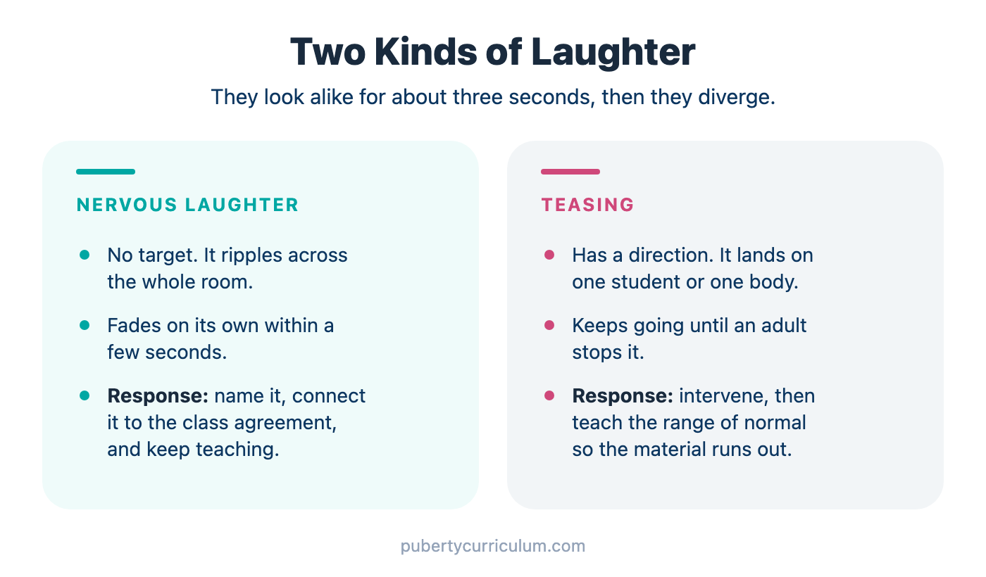 Infographic titled Two Kinds of Laughter, comparing nervous laughter and teasing. Nervous laughter has no target, ripples across the whole room, and fades on its own within a few seconds; the response is to name it, connect it to the class agreement, and keep teaching. Teasing has a direction, lands on one student or one body, and keeps going until an adult stops it; the response is to intervene, then teach the range of normal so the material runs out.